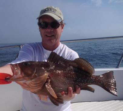 Red Grouper